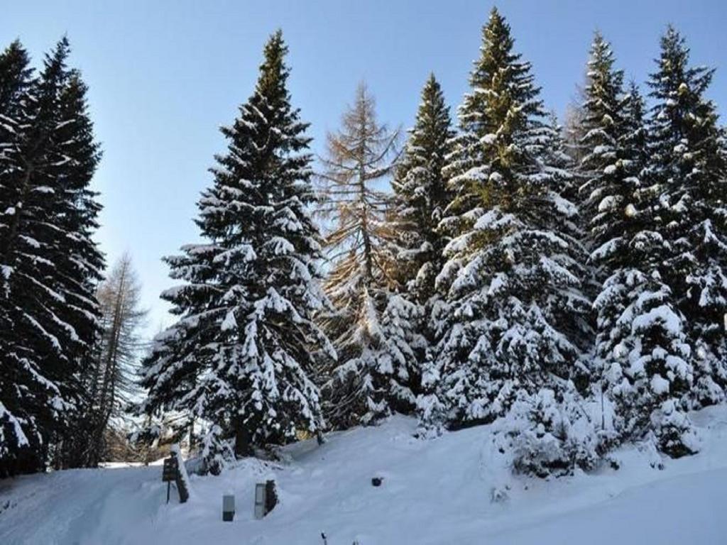 Apartment Bernsteiner 1 Treffen Dış mekan fotoğraf